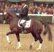 Buddy sire line image