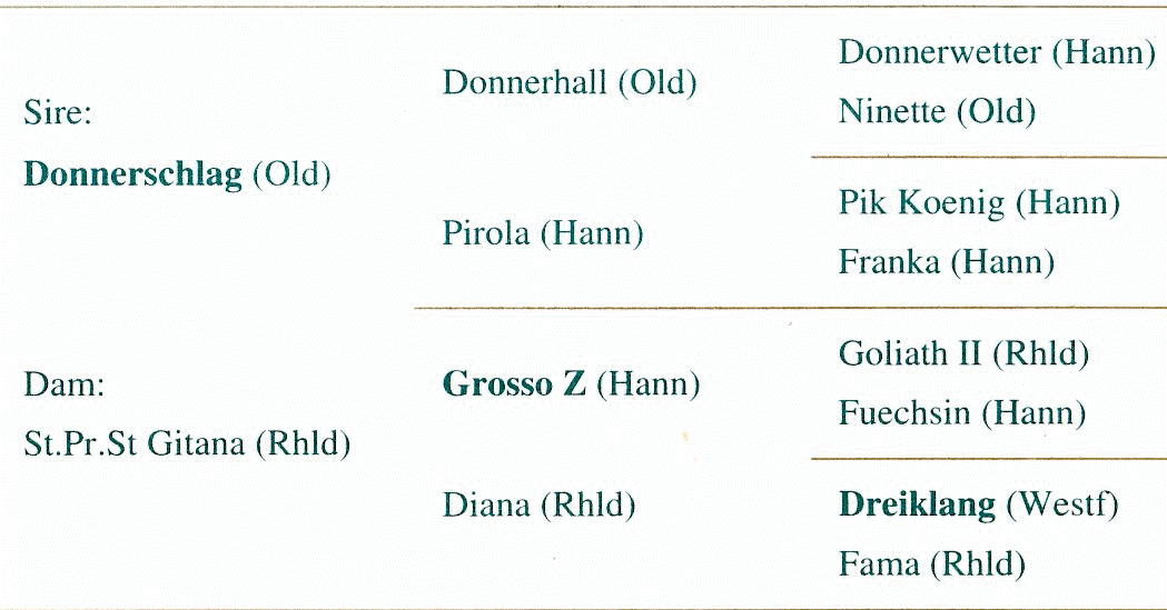 Don Gitani breeding details