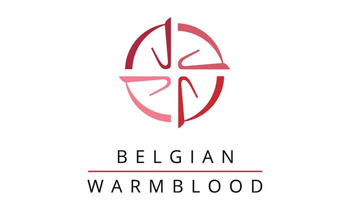Belgian Warmblood visual representing Iliona van het Carelshof