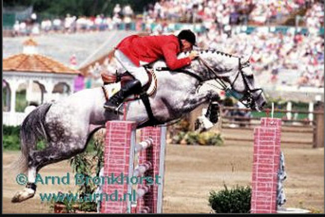 Eric Wauters riding Bon Ami for Belgium