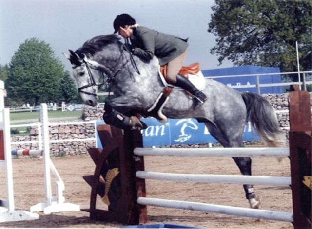 Branco van Overis, sire of Noah
