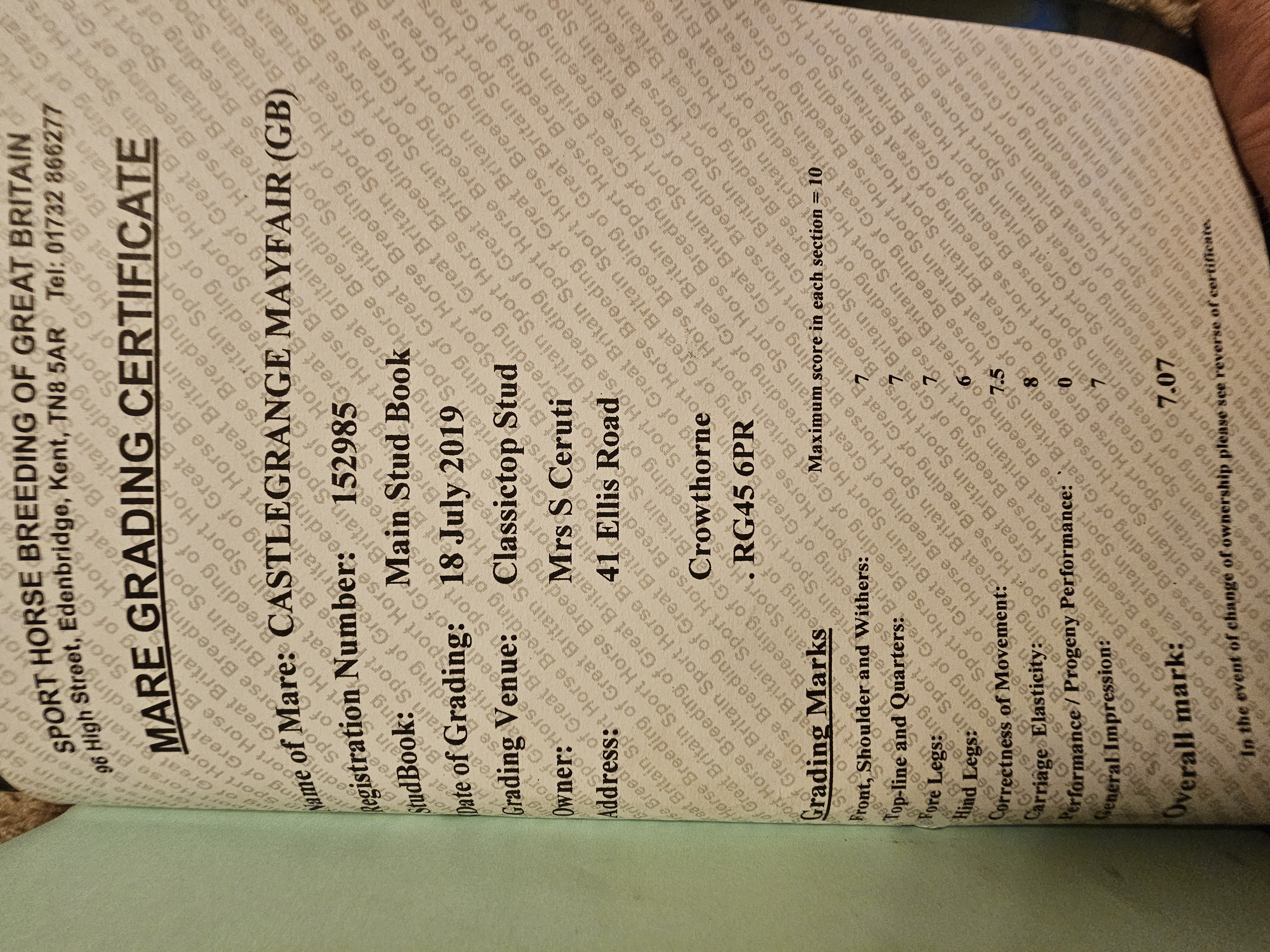Castlegrange Mayfair 2019 SHBGB mare grading certificate
