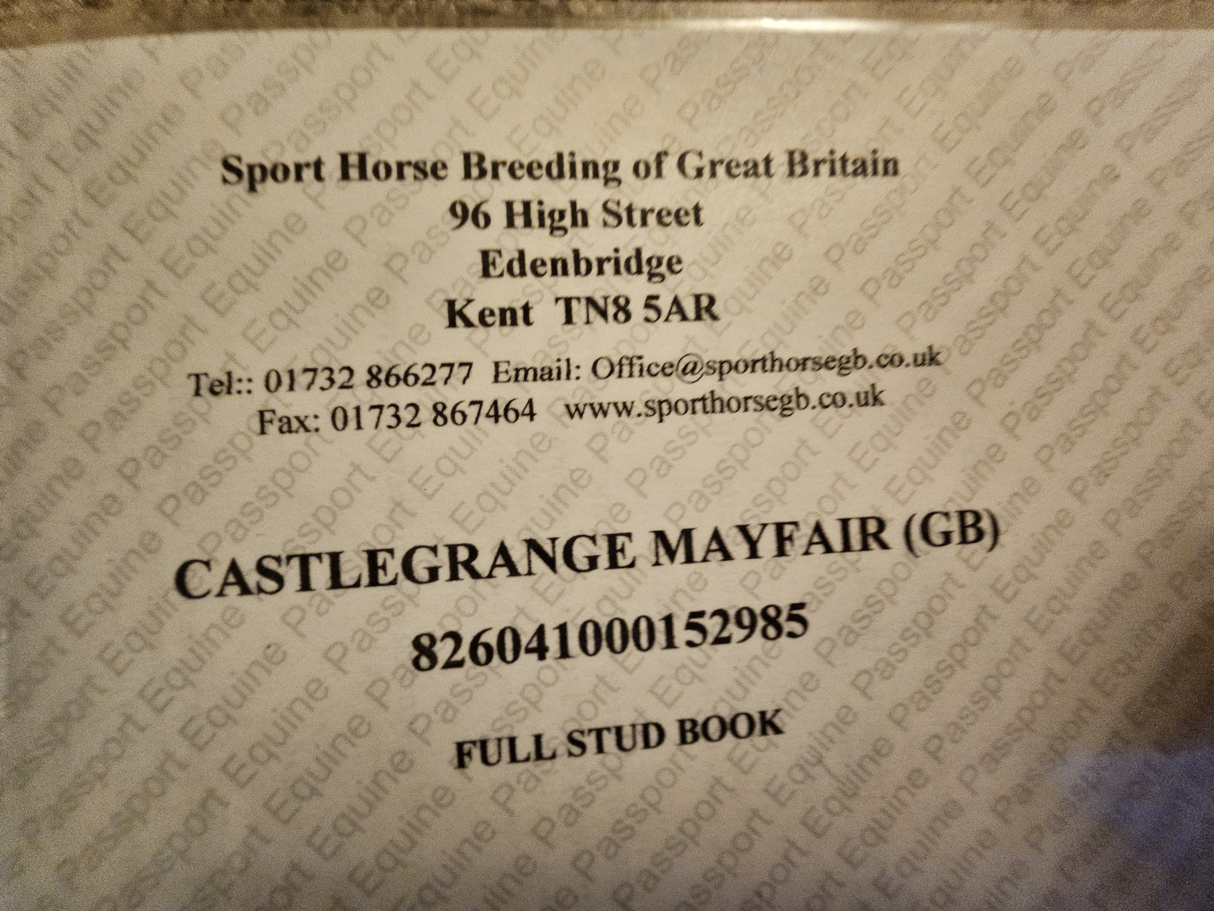 Castlegrange Mayfair SHBGB full stud book page