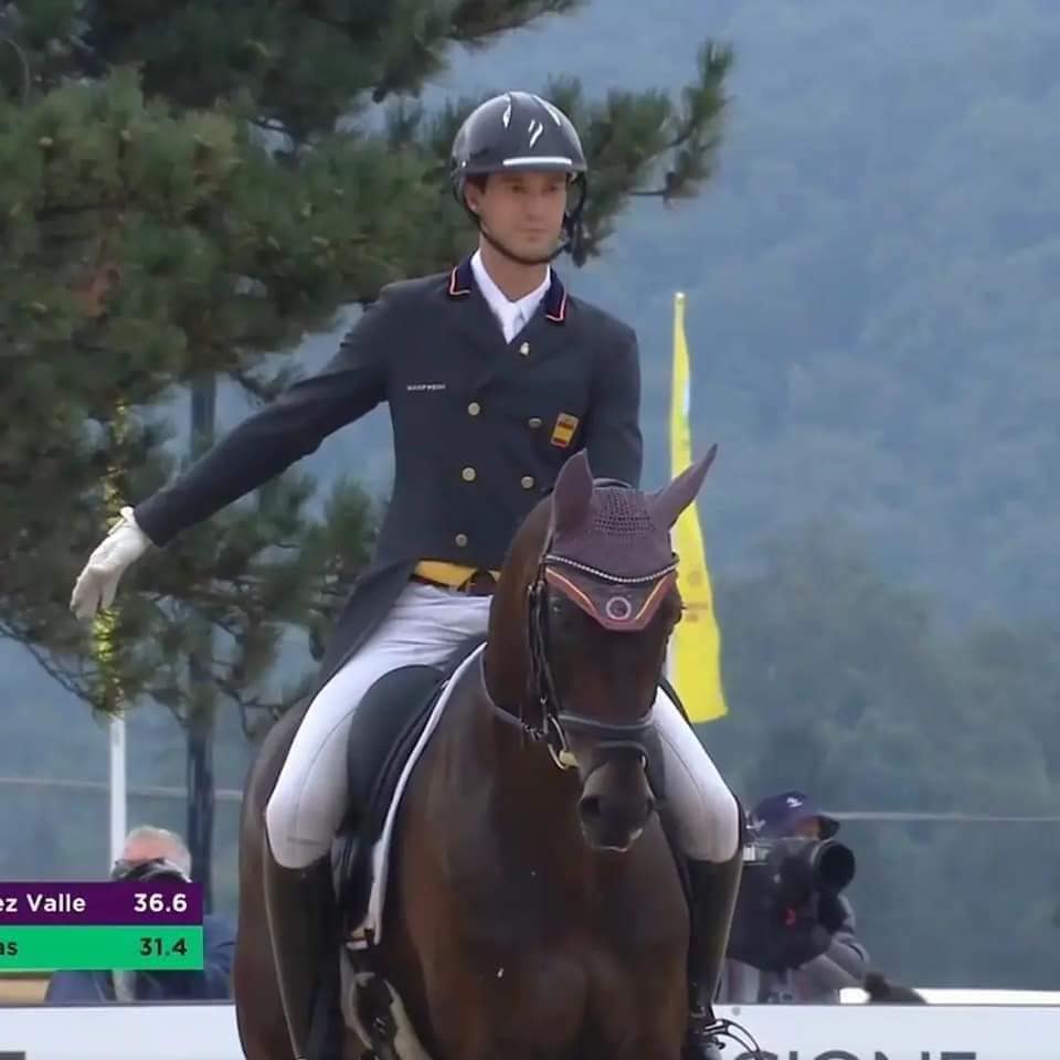Medoc demonstrating elevated Hanoverian movement under saddle