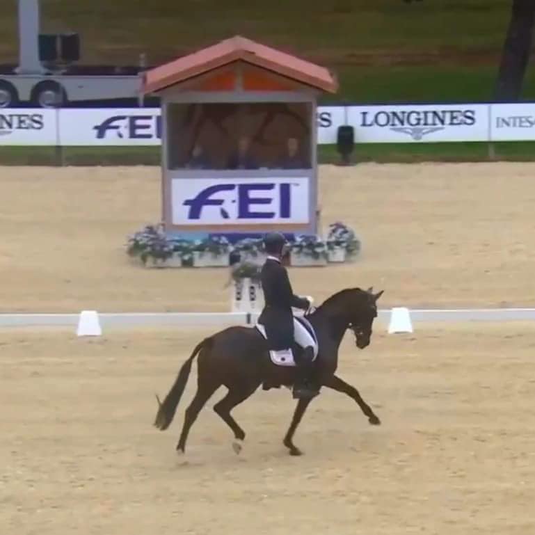 Medoc ridden during his performance career