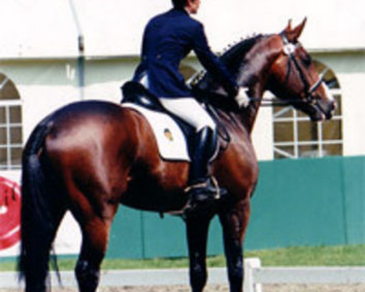 Olympic Ramiro, sire of Davina