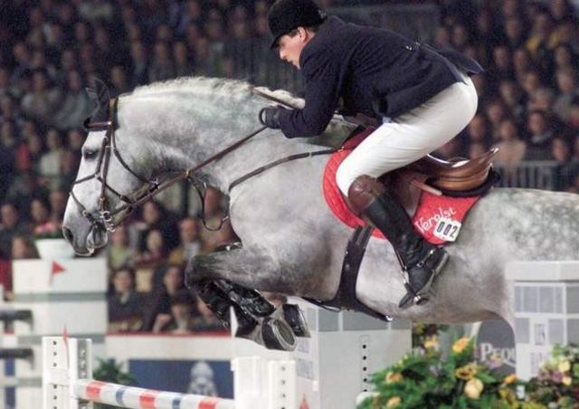 Parco, international showjumping stallion