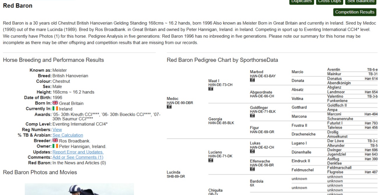 Pedigree record identifying Red Baron as a son of Medoc beside an eventing photograph