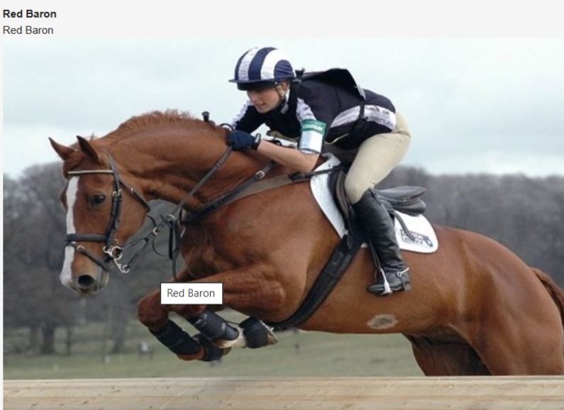 Archival photographs of Zara Tindall riding Red Baron in international eventing
