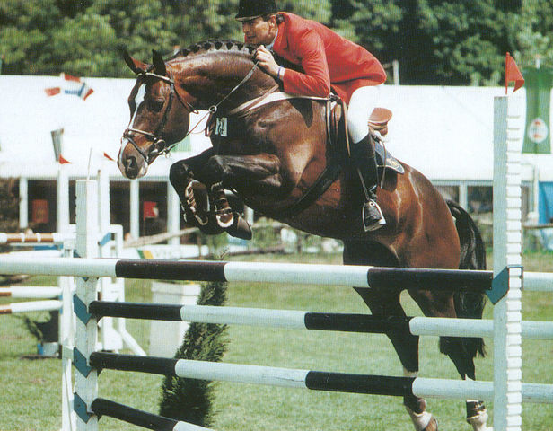 Voltaire, international performance sire