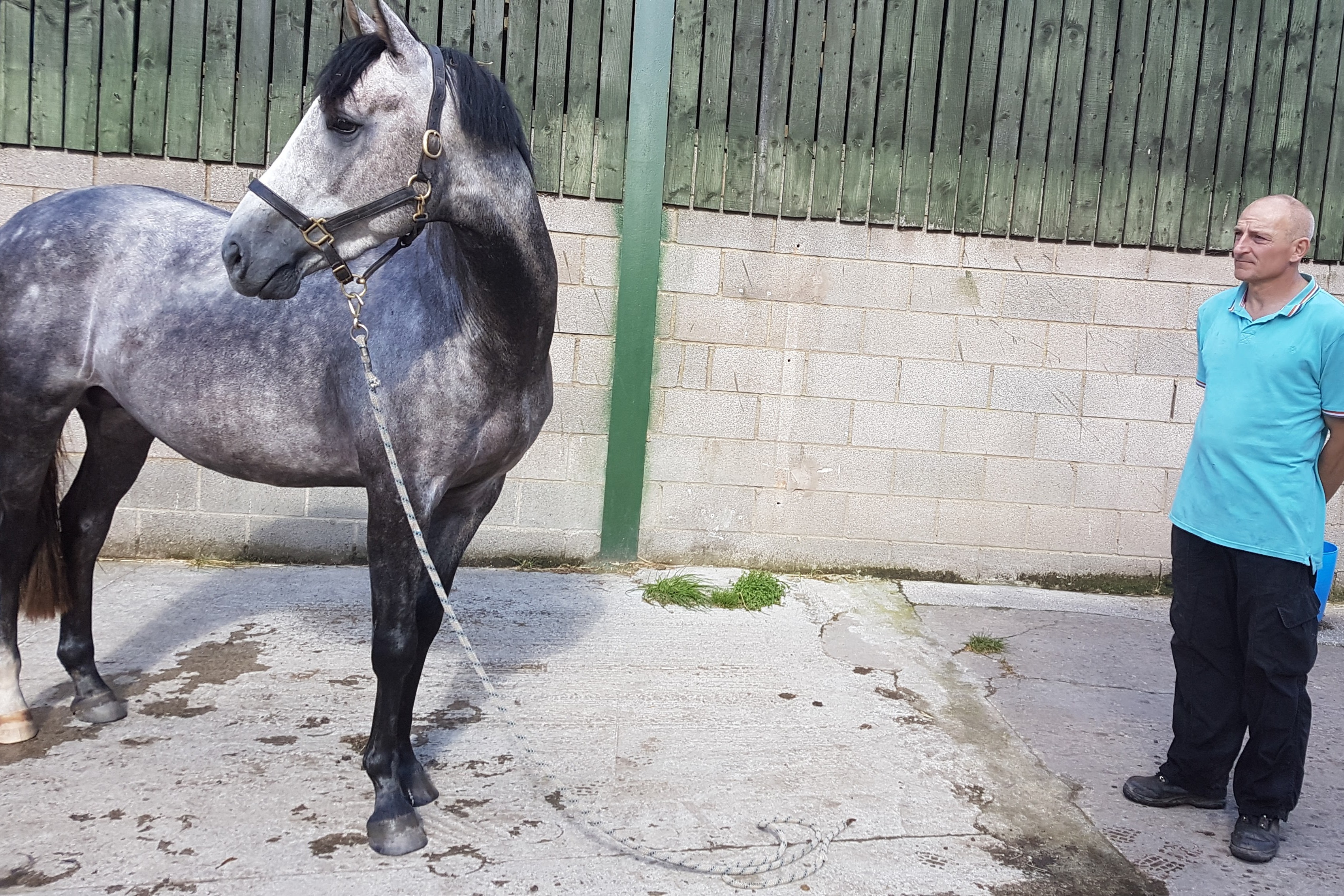 Noah loose and relaxed with Brian