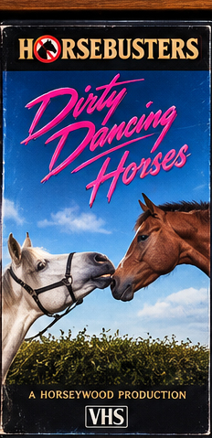 Dirty Dancing Horses VHS cassette