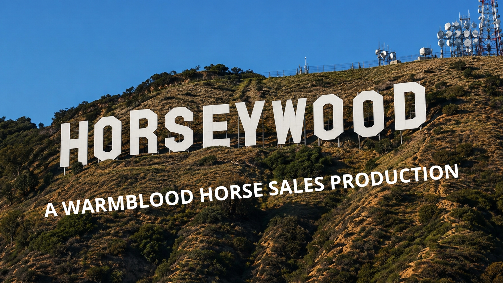Stable Night Fever HorseyWood production
