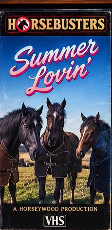 Summer Lovin' VHS cassette