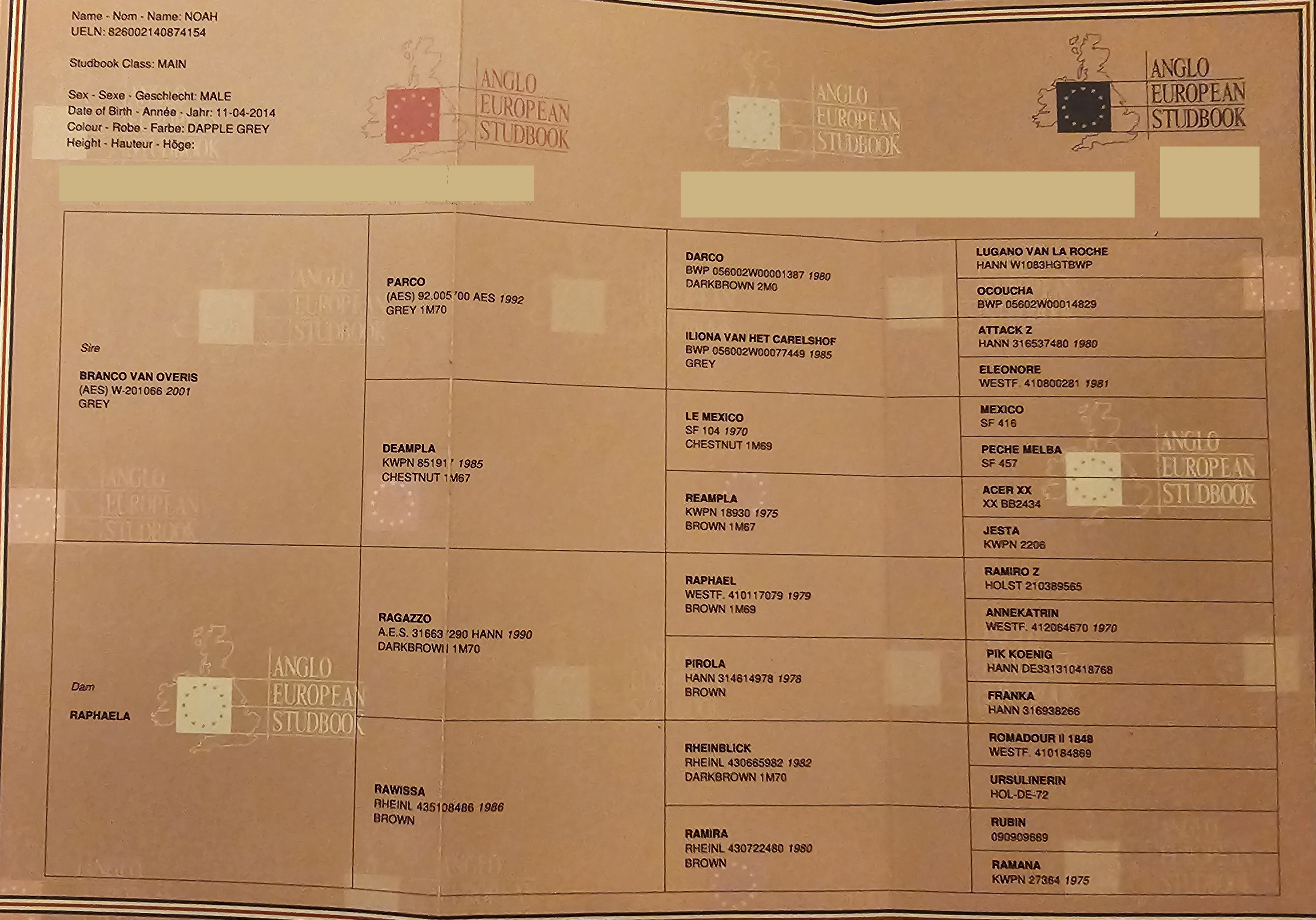 Noah's official pedigree page