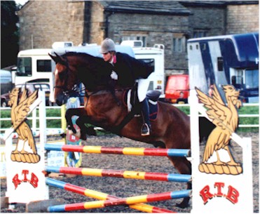 Previously sold horse 7