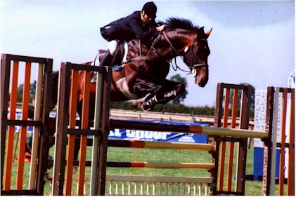 Previously sold horse 8