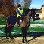 Previously sold horse 9