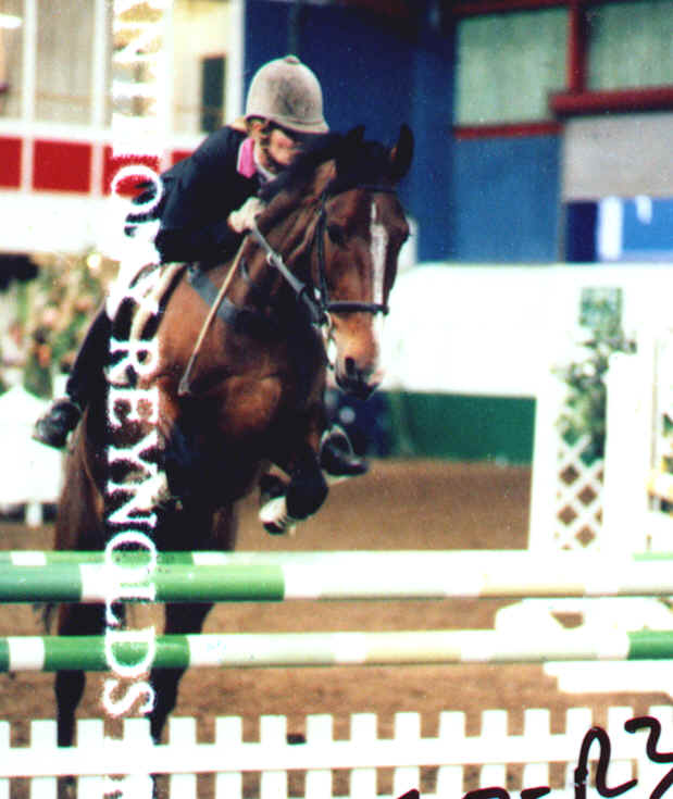 Previously sold horse 24