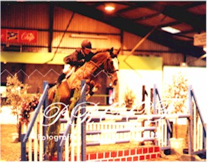 Previously sold horse 11