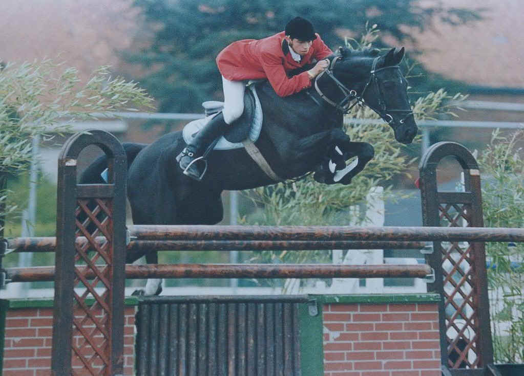 Previously sold horse 29