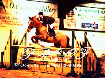 Previously sold horse 13