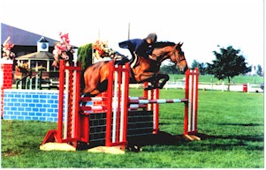 Previously sold horse 1