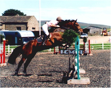 Previously sold horse 3