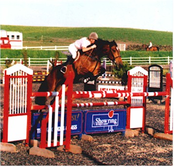 Previously sold horse 4