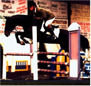 Previously sold horse 17