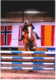 Previously sold horse 28