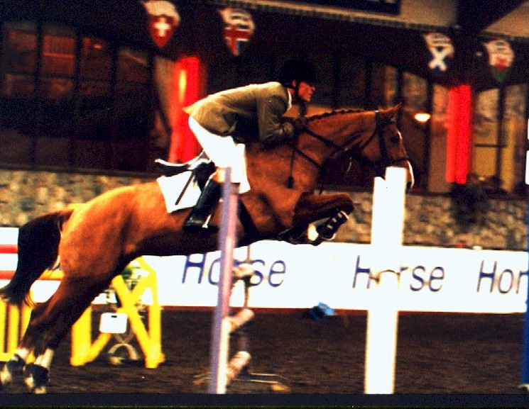 Previously sold horse 12