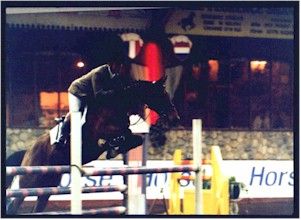 Previously sold horse 16