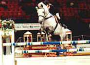 Previously sold horse 22