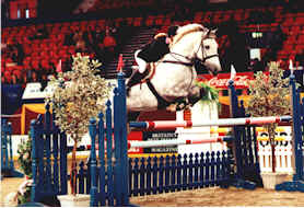 Previously sold horse 23