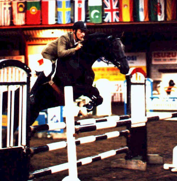 Previously sold horse 26